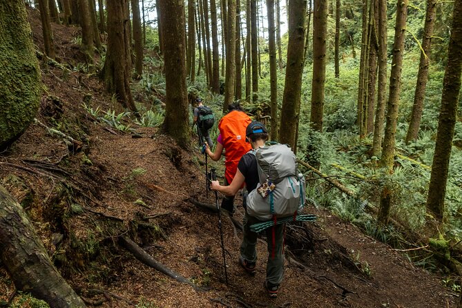 Guided Vancouver Hiking Highlights Day Tour with Gondola Download - Grouse Mountain gives you time to recover