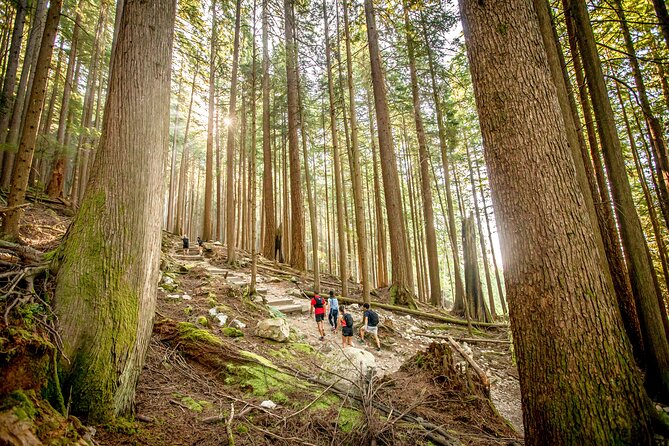 Guided Vancouver Hiking Highlights Day Tour with Gondola Download - Stanley Park and the road to North Vancouver