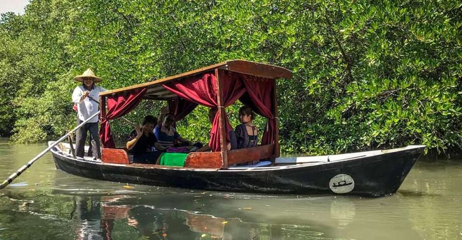 Ko Lanta: Private Gondola Cruise with Mangrove Forests - A quiet ride through the mangroves