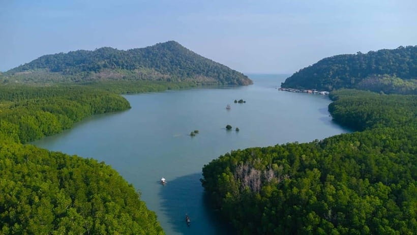 Koh Chang: Mangrove Forest Gondola Tour - A quiet side of Koh Chang at Salak Khok