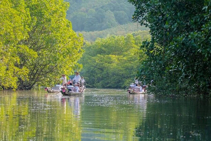 Koh Chang: Mangrove Forest Gondola Tour - Who will enjoy this ride most