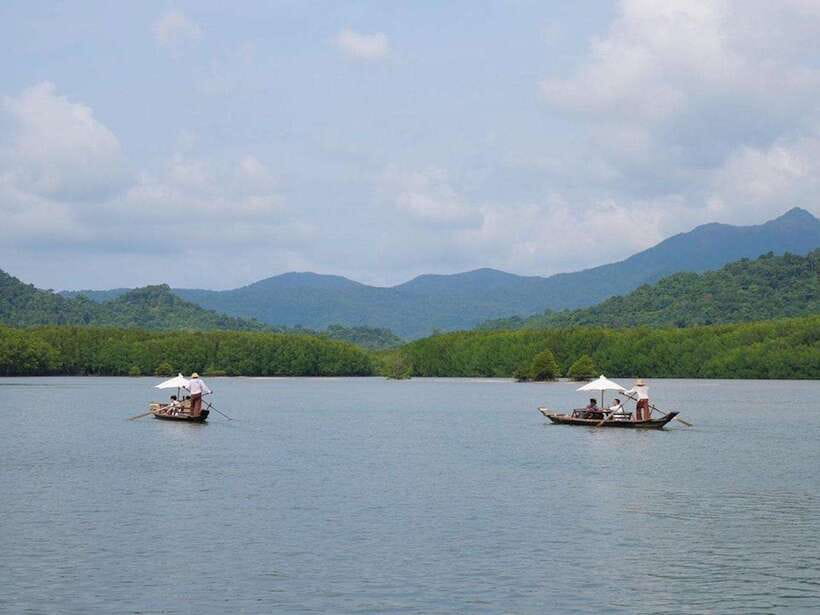 Koh Chang: Mangrove Forest Gondola Tour - How to make the most of 40 minutes