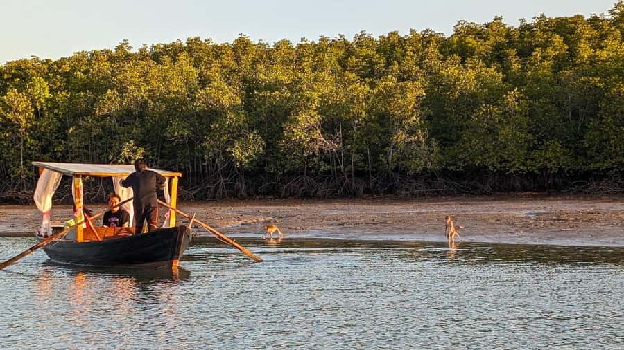 Koh Lanta: Romantic Sunrise Private Gondola Tour - Sunrise over the mangroves and Lanta Bay