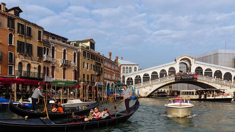 Venice: St. Mark's Basilica Guided Tour & Gondola Ride - Libreria Acqua Alta and the cats